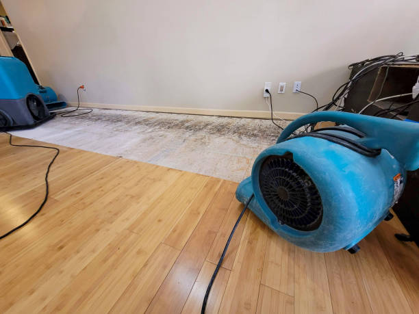 Professional Flood Damage Cleanup technician working in Mundelein, IL